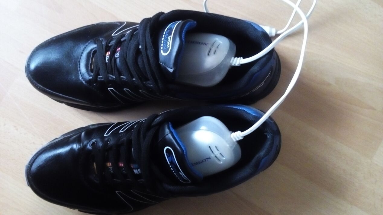 Shoe fungus disinfection device